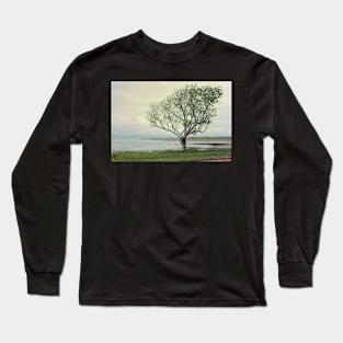 Casuarina Beach Long Sleeve T-Shirt